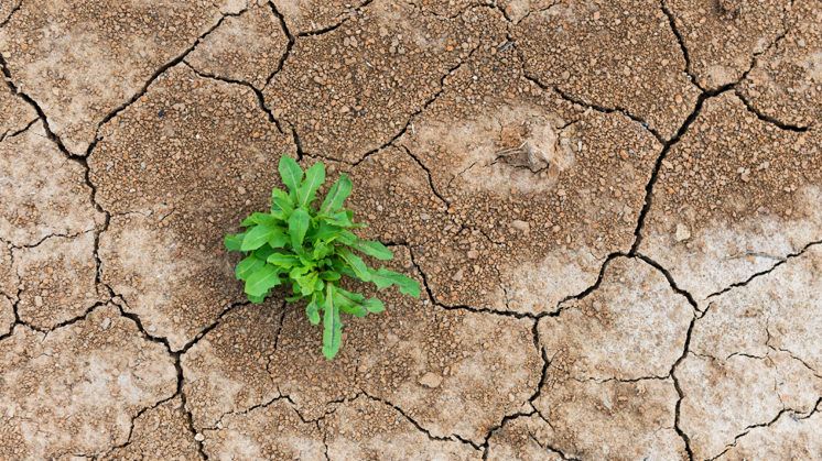 resiliencia_tdah