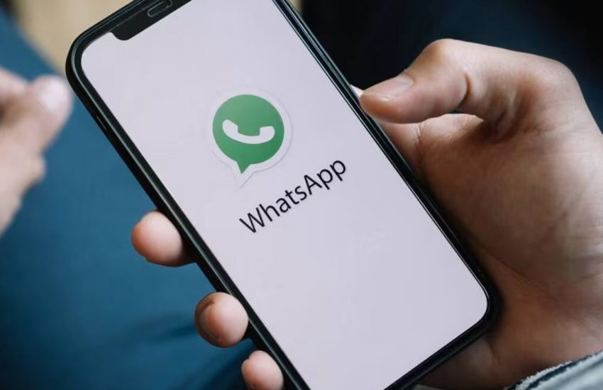 canal whatsapp tdah